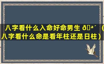 八字看什么入命好命男生 🪴 （八字看什么命是看年柱还是日柱）